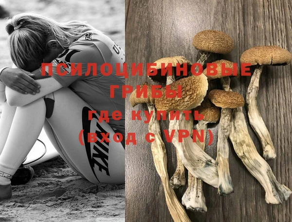 COCAINE Няндома