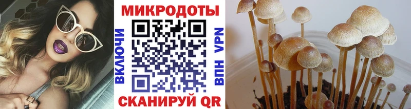 что такое   Ардон  Галлюциногенные грибы ЛСД 